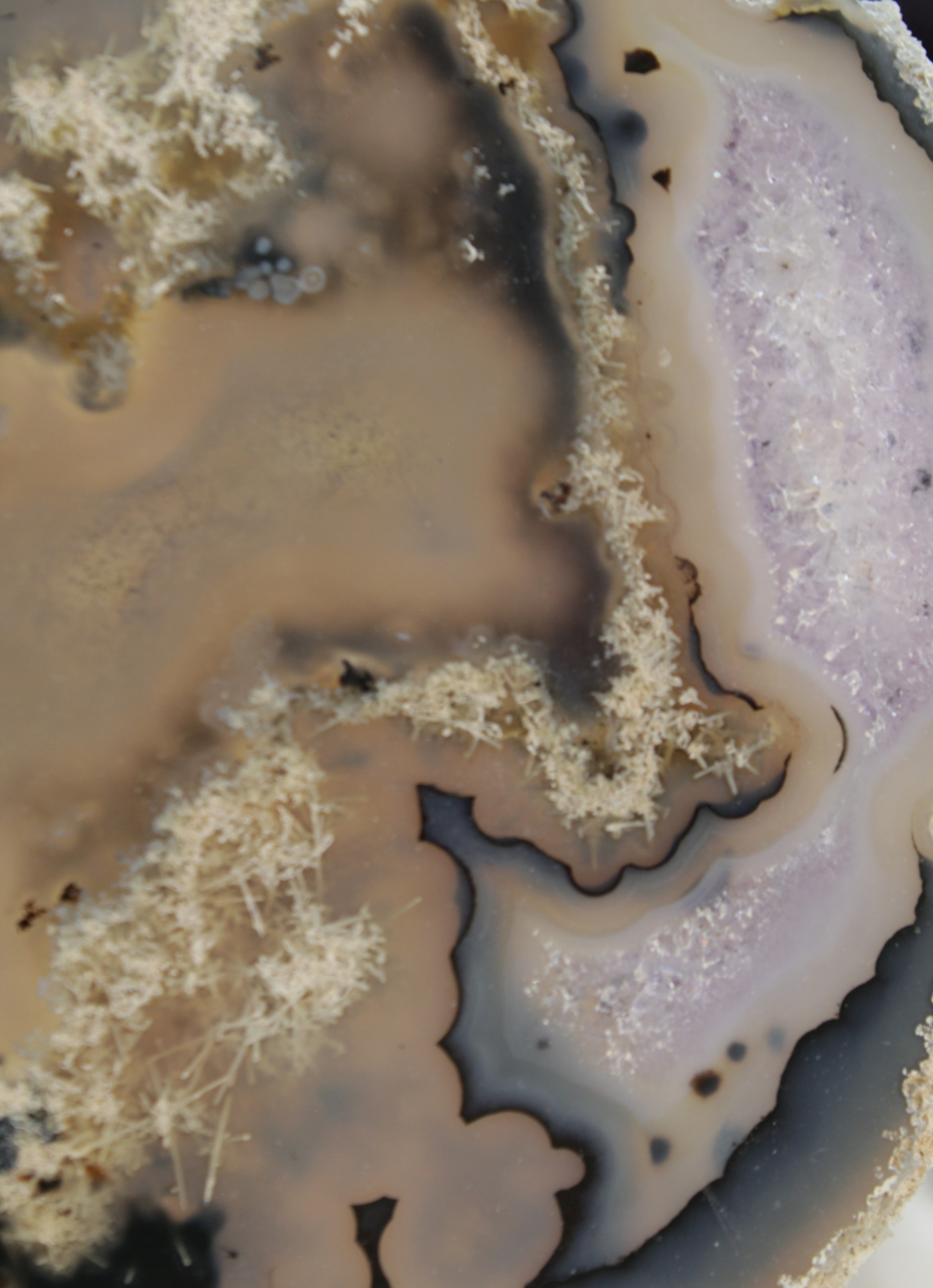 Collection of polished gemstones and minerals